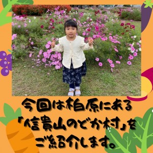 15655349-D6C3-409F-AFCF-80175C164778