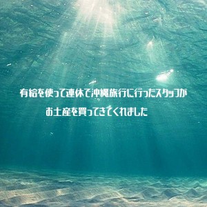 51A610C4-3BAA-4B8F-8309-4B195843C7FF (1)