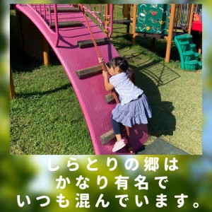 C848986A-662C-49A2-A49B-73B90537947D