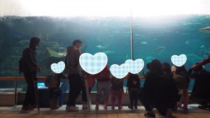 blog102_img008