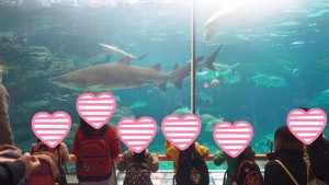 blog102_img011