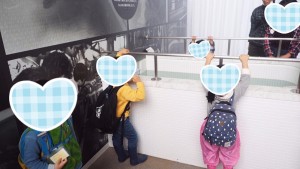 blog102_img013