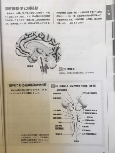 blog124_img003