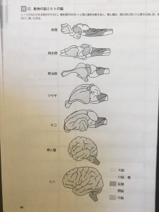 blog124_img004