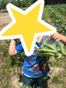 blog17_img003