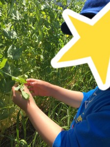 blog17_img004