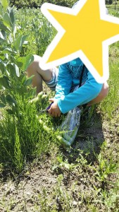 blog17_img005