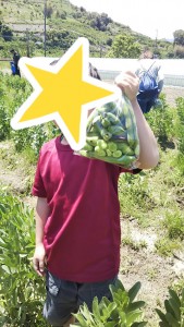 blog17_img006