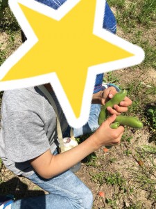 blog17_img008