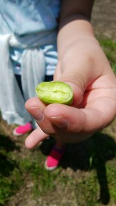 blog17_img009