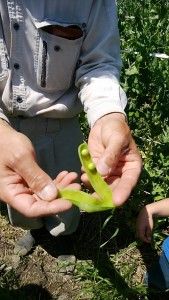 blog17_img010