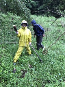 blog19_img002