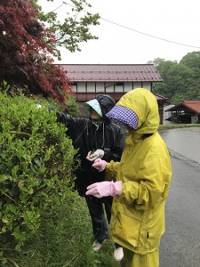 blog19_img003