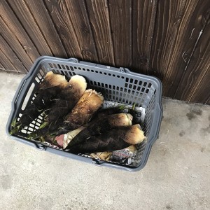 blog19_img005