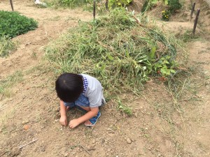 blog308_img002