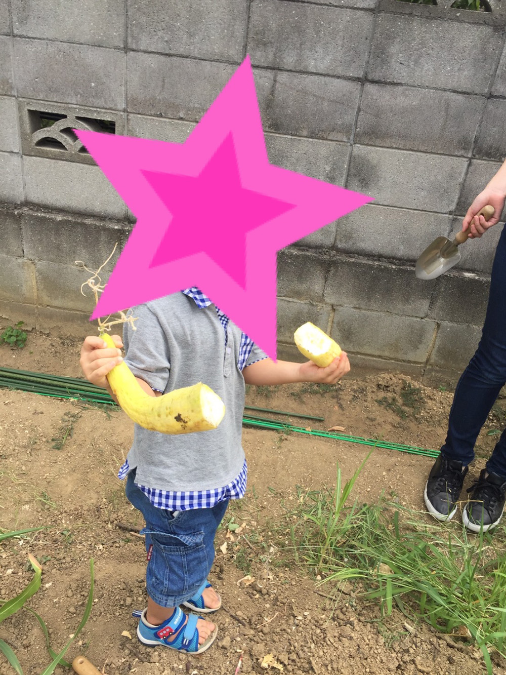 畑に行ってきました！！