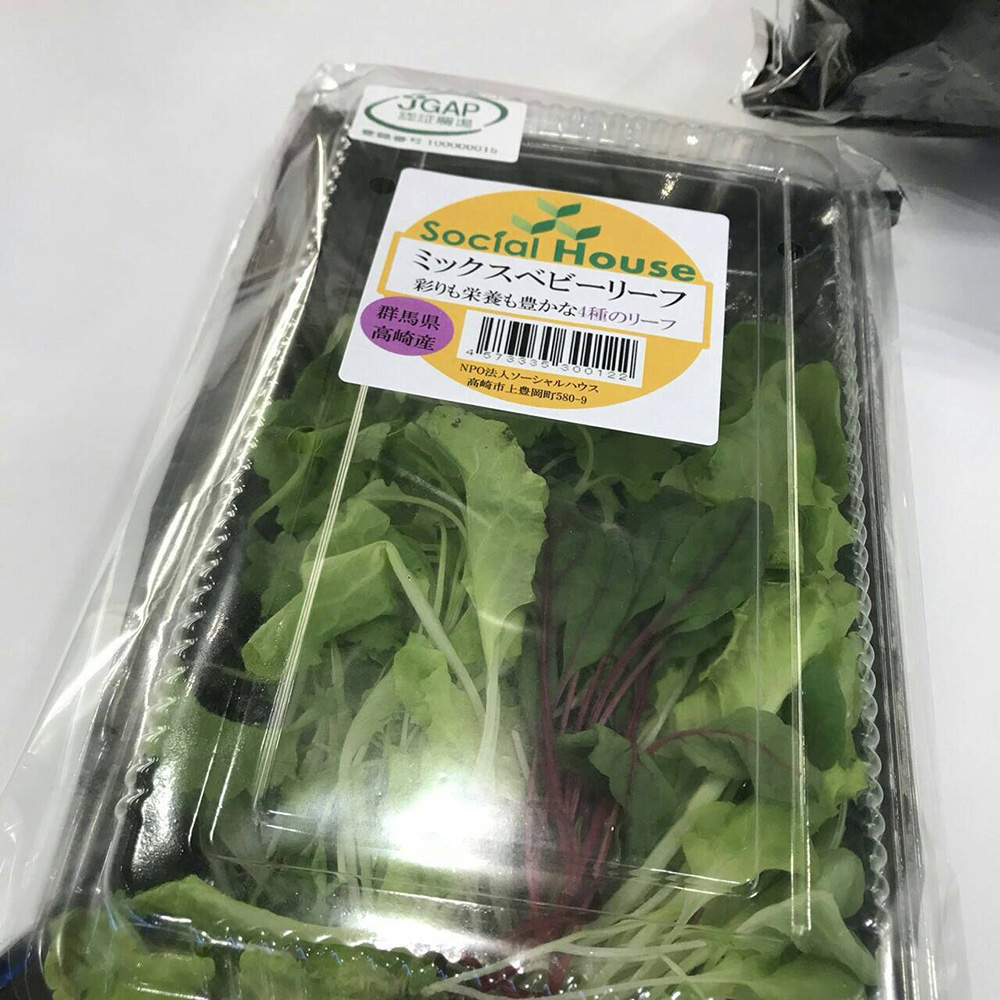 第4回　国際　次世代農業EXPO　に行ってきました