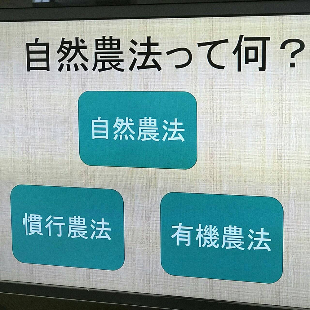 和歌山の橋本農苑さんを見学してきました。