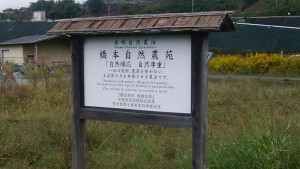 blog321_img004