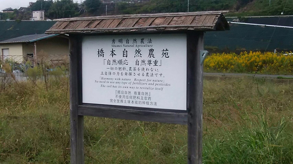 和歌山の橋本農苑さんを見学してきました。