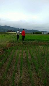 blog321_img007
