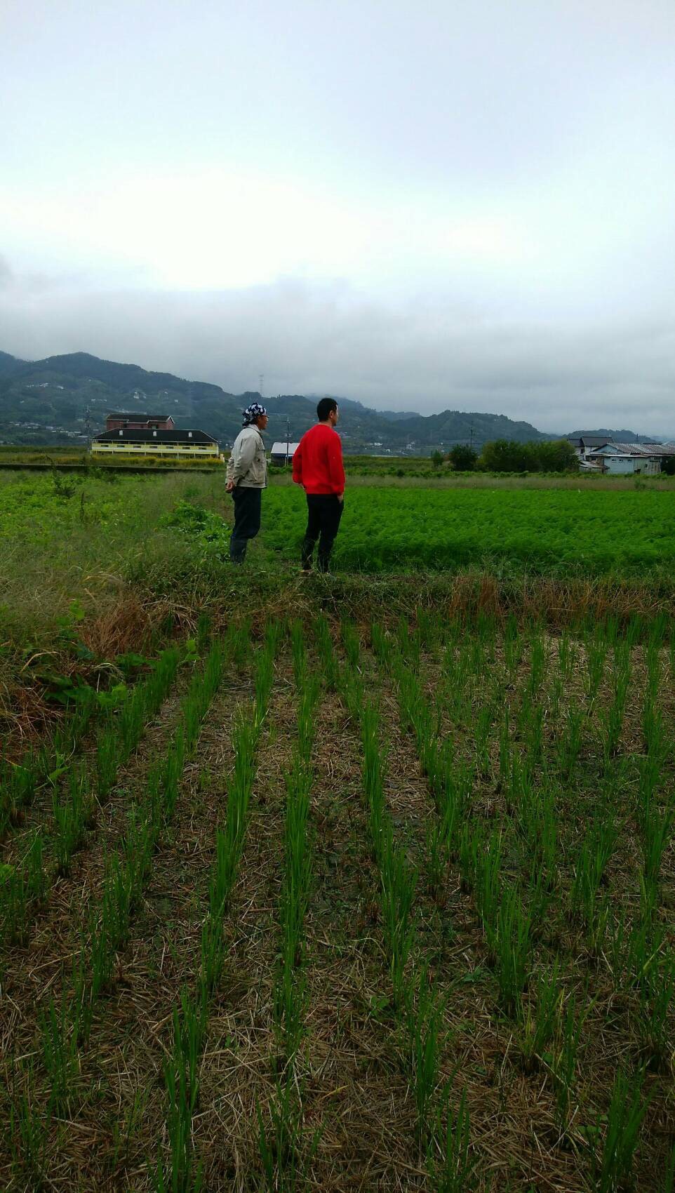 和歌山の橋本農苑さんを見学してきました。