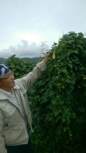 blog321_img009