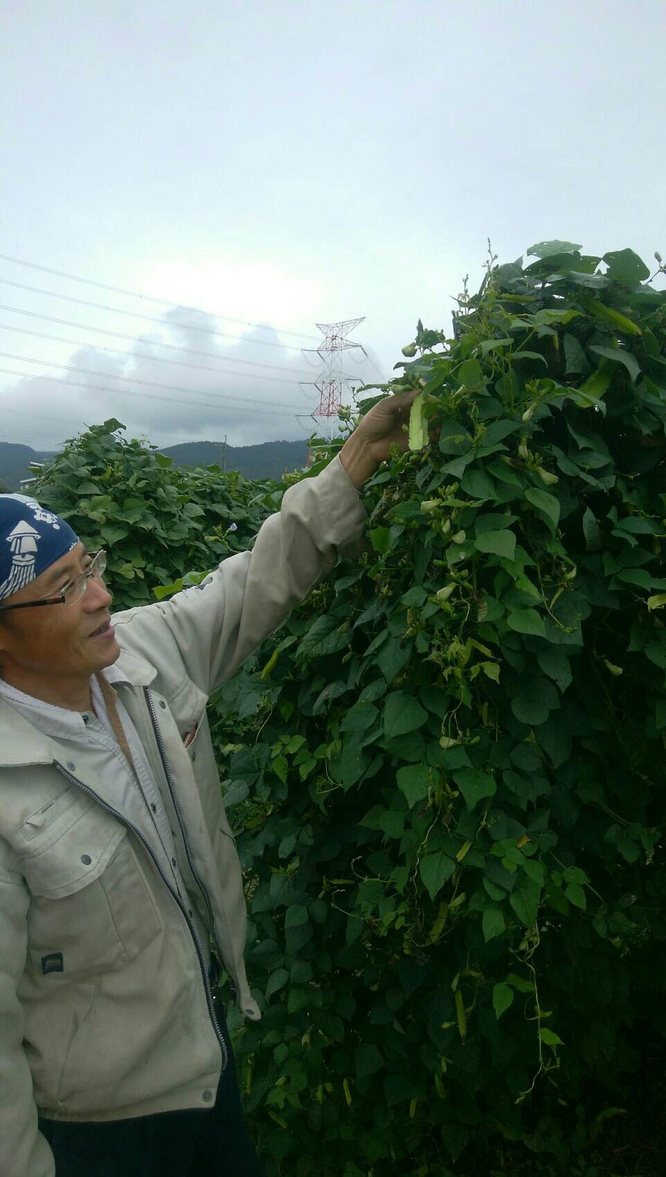 和歌山の橋本農苑さんを見学してきました。