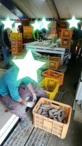 blog321_img012