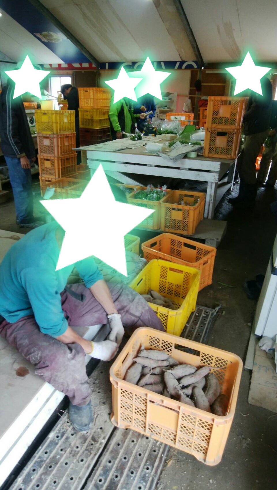 和歌山の橋本農苑さんを見学してきました。