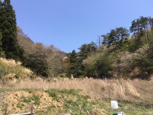 blog85