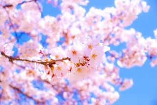 日本脳卒中学会”に行って参りました。