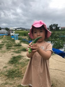 line_130165107830238