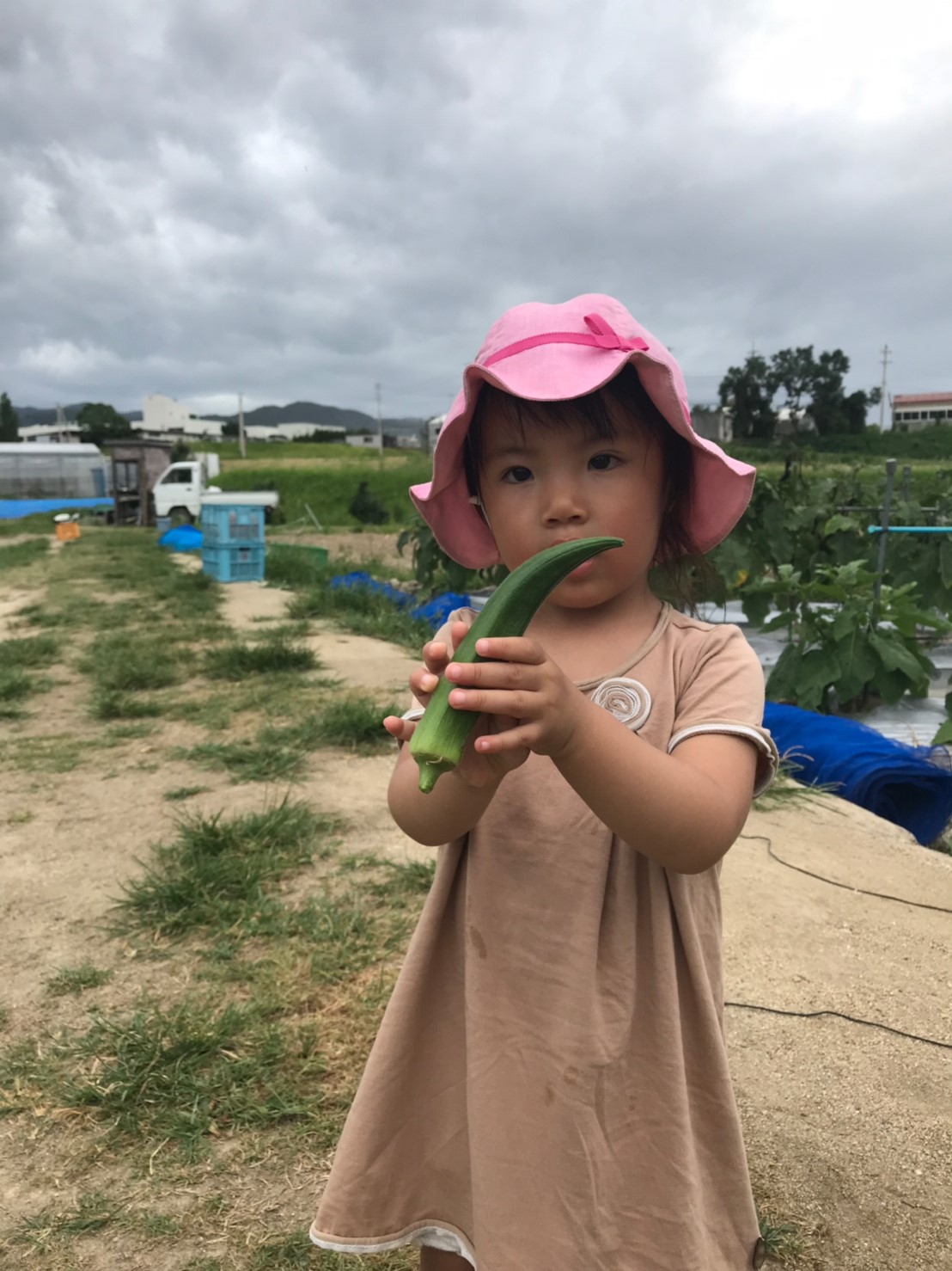 line_130165107830238