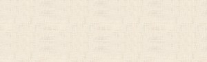 top_bg001