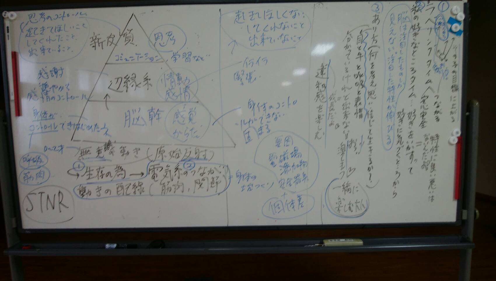 ピラミッド