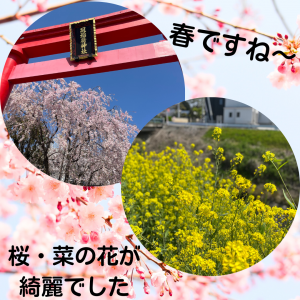 本文を追加