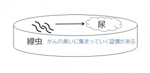 線虫