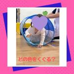 運動会2